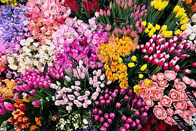 《Moonless Moon》Steam页面上线 年内发售