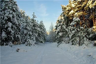 《死神：勇敢的灵魂》Switch版确认7月11日发售